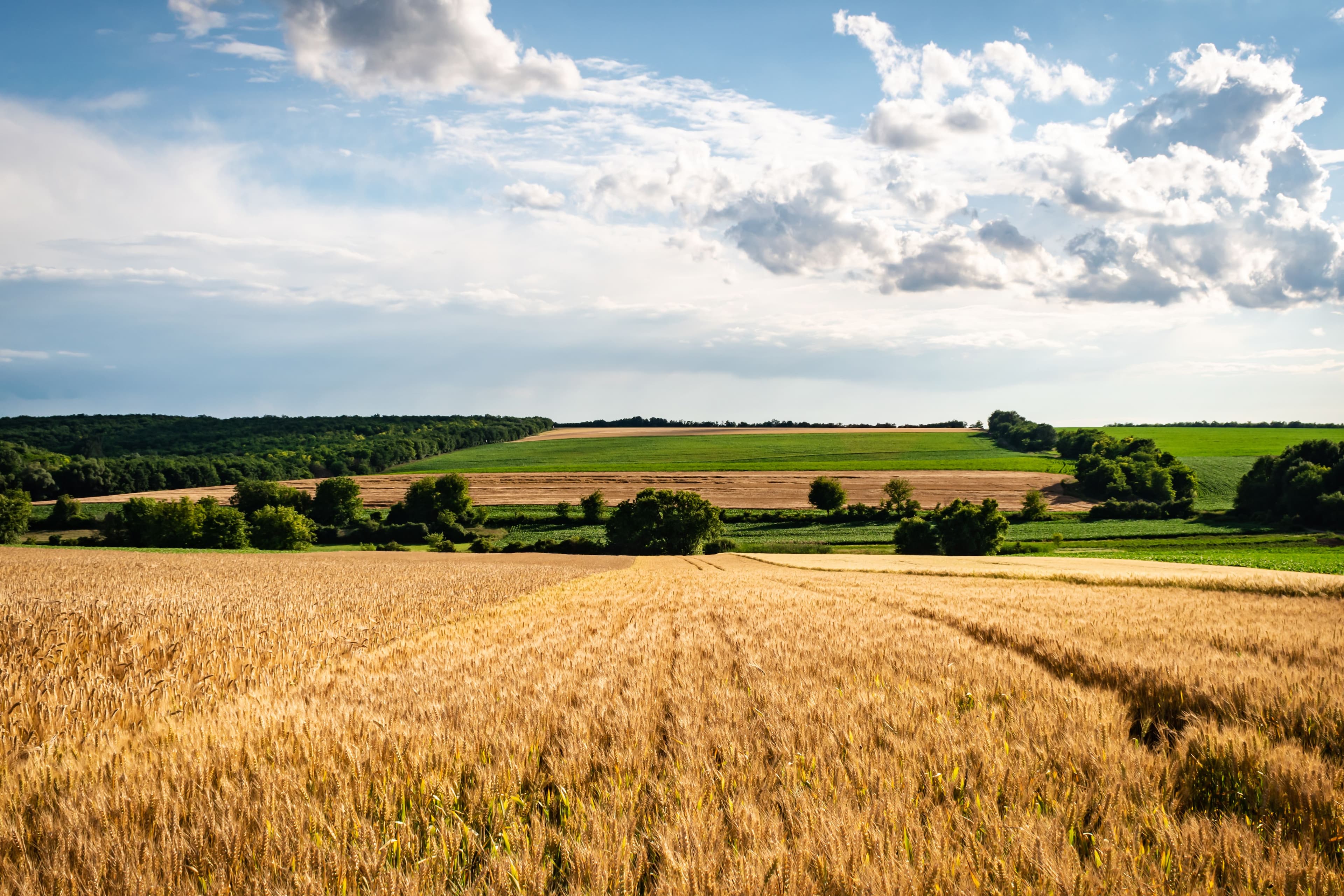 Agricultural Land — view 1