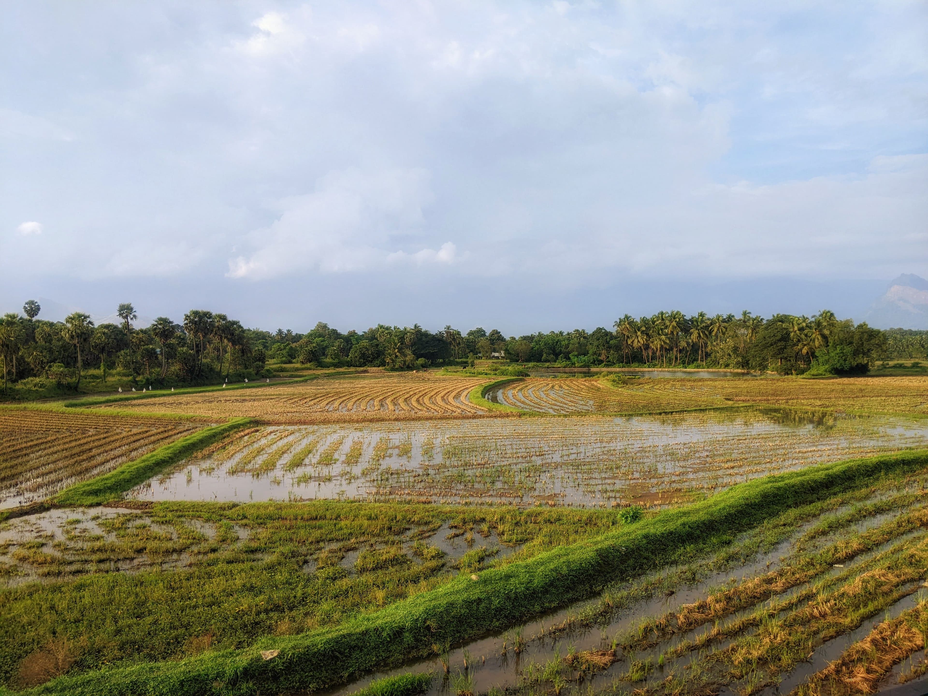 Agricultural Land — view 4