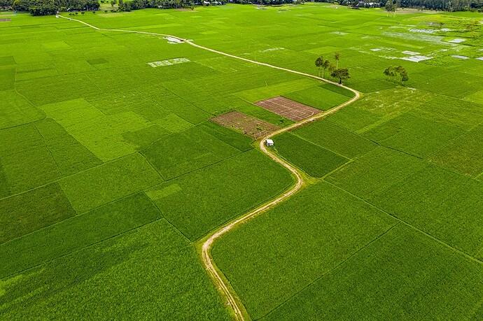 Farm Land with Orchard — view 1