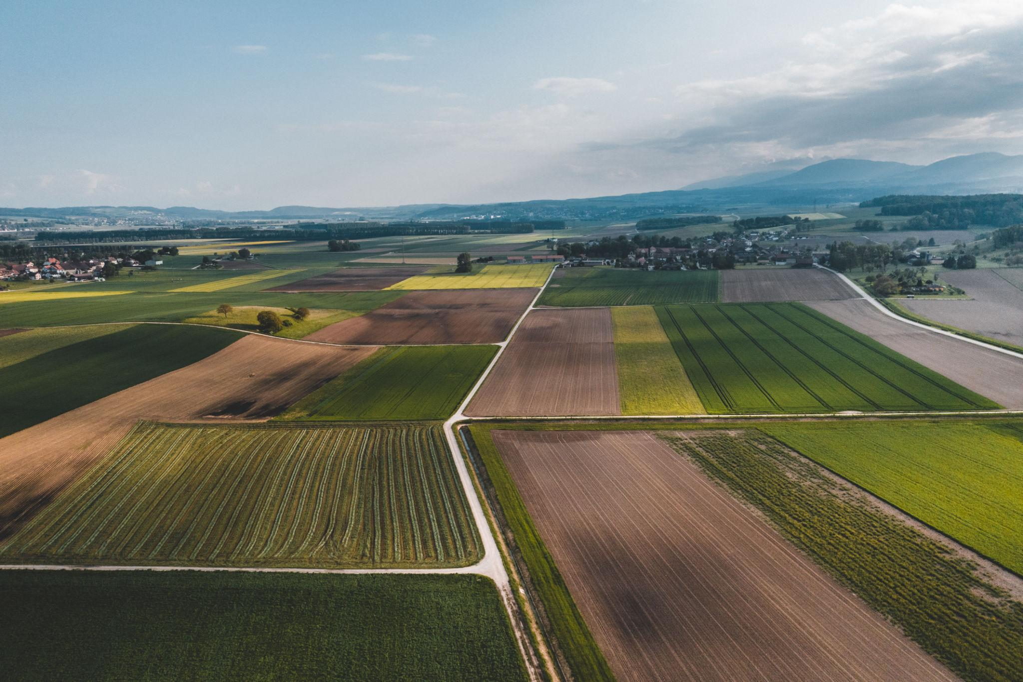 Foothill Farm Land with Cottage  — view 1